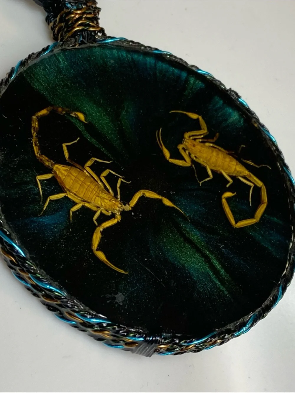 Necklace Cord Leather Big handmade Resin pendant featuring real scorpions